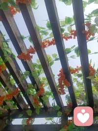 心若阳光，看什么都欢喜😃