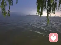 世界很吵，愿你能被温柔倾听；人心很累，愿有人陪你慢慢自愈。