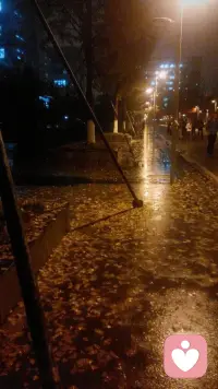 雨中黄叶树
灯下白头人配图