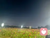 “生活无解时，就去追风放空𓂃𓆇💭🎈”配图