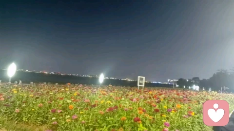 屏蔽力，是成年人最顶级的自律