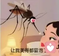天热了，招蜂引蝶的技术没有，但招蚊子咬我倒是一流。让我美得都冒泡了😅😅😅