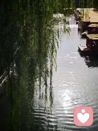 把期待降低，把依赖变少‌，你会过得越来越好，经济独立、思想独立，是一个人最大的底气 。‌‌‌配图