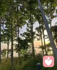 去爱具体的生活
东拼西凑也很新鲜😊配图