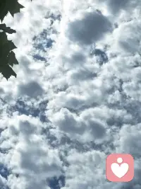 “别让昨天的雨，淋湿今天的自己”
​因为今天出太阳啦🌞配图