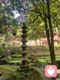 踏入清净地，拂去尘世忧，聆听内心深处的回响。配图