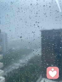 雨天，把喧嚣关在窗外，把宁静请进心里。
有人说雨天忧郁，我却觉得，这是万物在静静呼吸，在积蓄下一次绽放的力量。