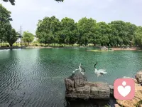 生命是一树繁花，它注定会接受命运的洗礼，人生需要欣赏，抛弃想占有自己喜爱的一切东西的想法，不要奢望你能拥有很多，用一种平常心态去欣赏一个人、一件事，就象欣赏一幅画一样，你会很快乐，也会很坦然。