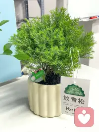 生活不会按照你想要的方式进行，它会给你一段时间，让你孤独又迷惘，等你度过低潮，那些独处的时光必定能照亮你的路。