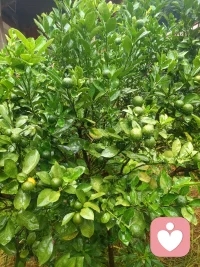 分清 “我的事” 和 “他人的事”：别人怎么看待你、怎么做选择，是对方的课题；如何守住自己的底线、如何待人，是你的课题。不必为他人的情绪负责。