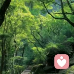 半百人生的头像