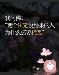 你遇到的每个人都是你人生的经历！
相逢已是上上签，得失随缘，好坏皆风景！