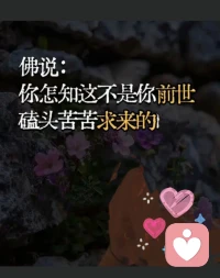 你遇到的每个人都是你人生的经历！
相逢已是上上签，得失随缘，好坏皆风景！