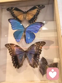 你只管努力，剩下的交给时光。