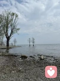 哪怕只是想找个人说说话，
都可以来找我
✅ 职场压力大到睡不着
✅ 家庭琐事攒成了心结
✅ 情绪低落找不到出口
✅ 纯倾听，不打断、不指责
✅ 本地化语境，懂你的方言，更懂你的难处
✅ 严格保密，聊完就翻篇，无后顾之忧
小鱼听你说，来这里能让你放心说话配图