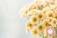 “问题本身”并不是问题，如何看待问题才是真正的问题。配图