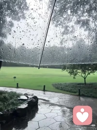 从来不是雨影响心情，只是压抑的心事，刚好借雨天落了下来。配图