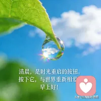 早安。
不必强迫自己时刻坚强，
允许脆弱，允许停顿，允许慢慢来。
我在这里，安静听你说。配图