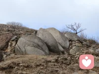 淡雅分享：忙而不乱，忙而不盲，忙而不茫，心定，世间万物皆美好。