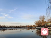 淡雅分享:读懂自己，比讨好世界更重要！