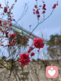 如果有一次机会，你会想去见见曾经的自己吗？配图