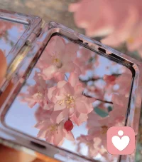 薪资要求月：8K
月提供情绪者
无条件给予支持陪伴
一切按照主人的时间配图