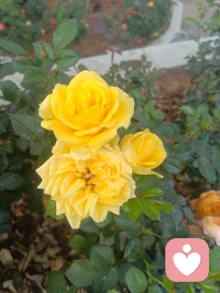 新的一年爱财爱己爱客户配图