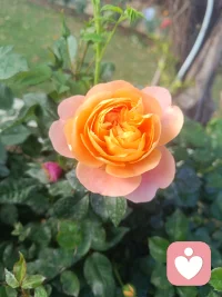 新的一年爱财爱己爱客户配图