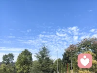 由于淋过雨，所以想为您撑会伞配图