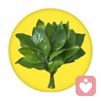 擅长情感困扰、情绪低落、人际关系、压力疏导等问题。
耐心、温和、有同理心，认真对待每一份倾诉。
在这里，你可以放心表达，安心被倾听。
我会陪着你，一起走出情绪低谷配图