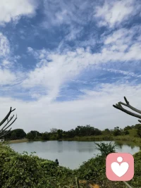 愿做你情绪的收纳盒，耐心听你说所有委屈与心事，温柔接住你的每一份脆弱。配图