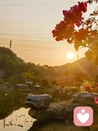  学会倾听，是温柔也是成长。听别人的故事，懂自己的人生，不争不辩，自在从容。配图