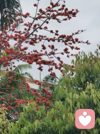 把头顶的云朵抛下   一路春光明媚   愿你的生活温柔以待   幵心快乐配图