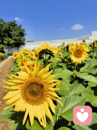 生活或许总有遗憾   但未来依然明亮 
相信自己   相信期待配图