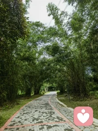 慢慢来，谁都有乌云密布的时候，走出去就是晴天。配图