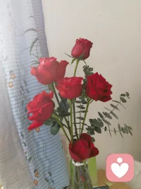 把烦心事丢掉，腾出地方装鲜花和温柔。配图