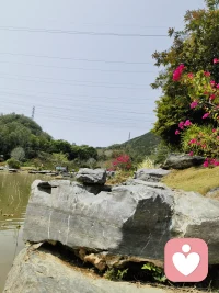 早安～新的一天，不慌不忙，慢慢变好，愿所有美好都如约而至🌿配图