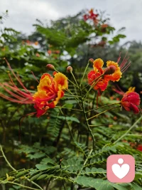 生活没有那么多惊天动地，更多的是细碎的温柔。一杯热茶，一阵晚风，一个拥抱，都在悄悄治愈我们。配图