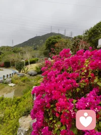 早安！☀️
新的一天，元气满满，眼里有光，心中有热，脚步轻快，万事顺意。
愿你带着好心情出发，把平凡的日子过得热气腾腾、闪闪发光！✨配图