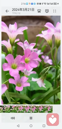 不困于情，不乱于心，好好爱自己。配图