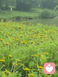 你不必完美，才值得被爱。你不必优秀，才配被珍惜。接纳自己的普通，接纳自己的不完美，才是真正强大的开始。配图