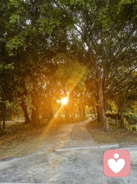 成长，是学会和自己相处，是把情绪调成静音模式，是明白人生终究是自己的课题。不依赖、不纠缠、不内耗，安静且坚定。配图