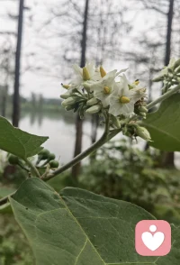 情绪总有出口，心事终有归处。认真倾听，用心陪伴，把不安变成温柔与力量。💛配图