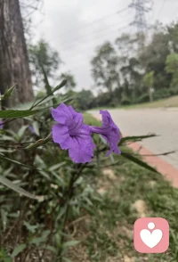 日子如常，心有暖阳。三餐四季，自在欢喜。✨配图