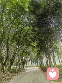 雨落无声，心事有痕。
不慌不忙，等雨停，也等风来。配图