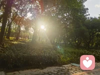 情绪可能会影响你的生活质量   我在这接住你的不开心  认真听你倾诉 愿你的生活每一天都充满阳光配图