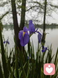 听你说，陪你缓，给你一份稳稳的安全感✨