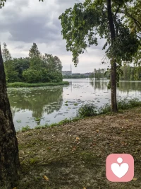 今日份吸氧，被湖水和绿意治愈了