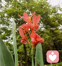 今日宜：开心、顺利、好运。