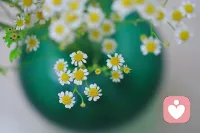 我愿意用全部的温柔，接纳你的任性、你的迷茫，以及你所有未曾说出口的心事。配图